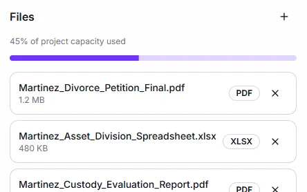 Family law case management